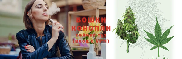 гидропоника Горно-Алтайск