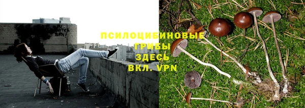 МДПВ Переславль-Залесский