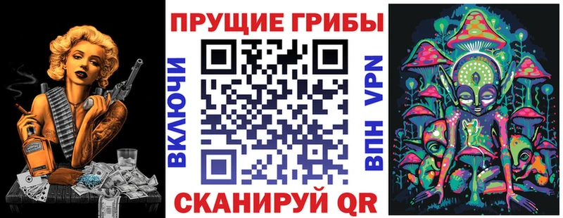Псилоцибиновые грибы ЛСД  где купить наркоту  Елизово 